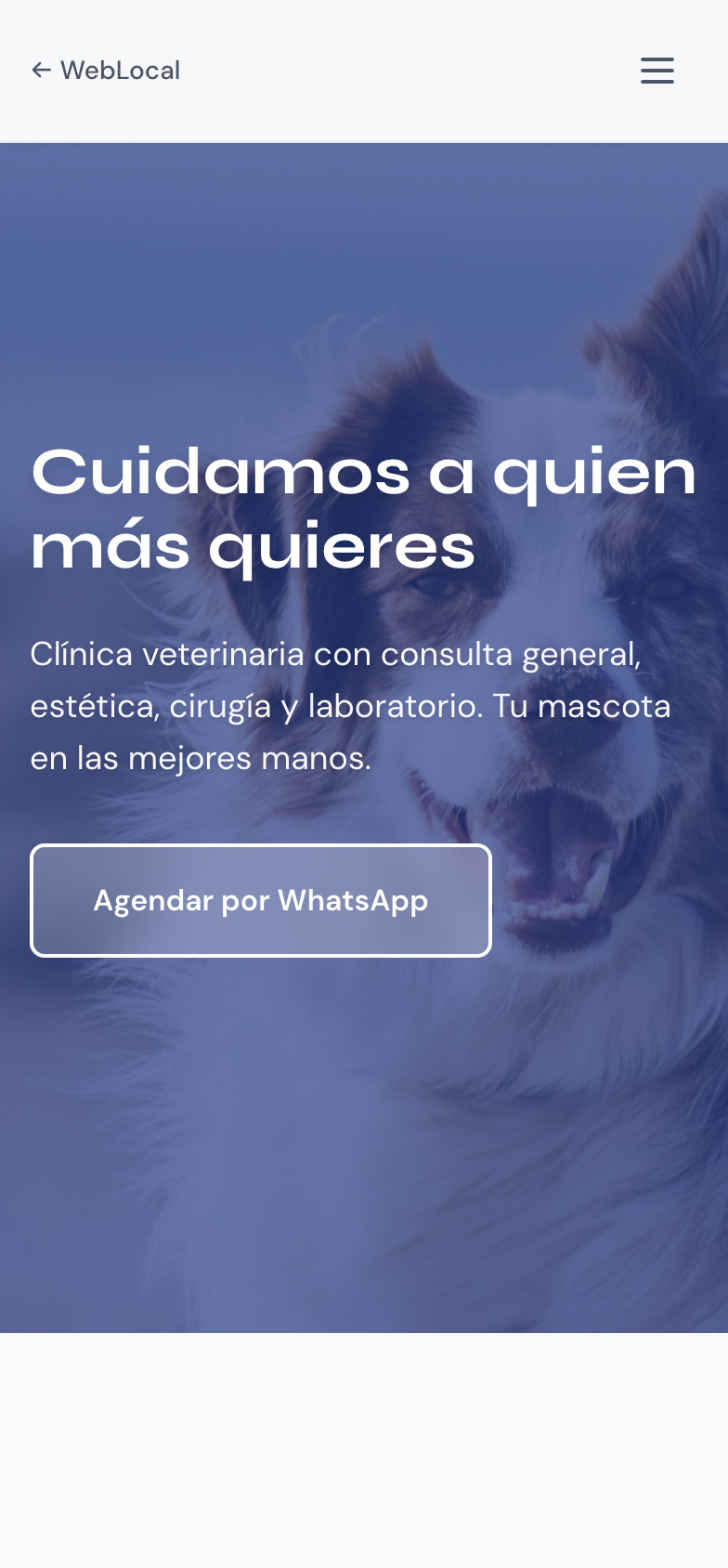 Demo: VetCare